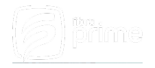 FIBRA PRIME